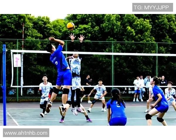 杭州排球队的拼搏之路与城市联赛的辉煌瞬间