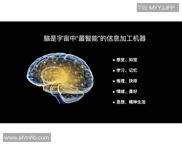 提升个人能力北京网球队的训练与发展探讨