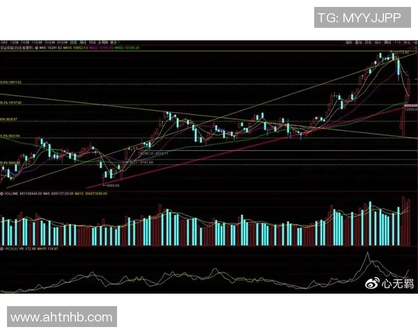 杭州羽毛球队与重庆羽毛球队赛后复盘分析比赛节奏与战术对比